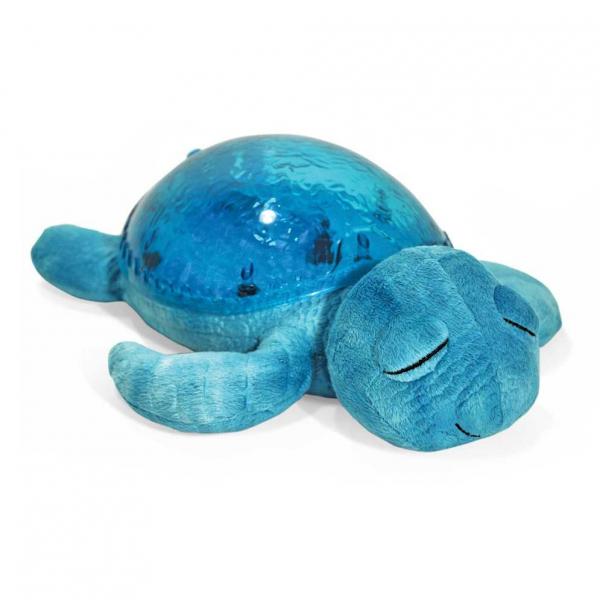 Schildpad projector